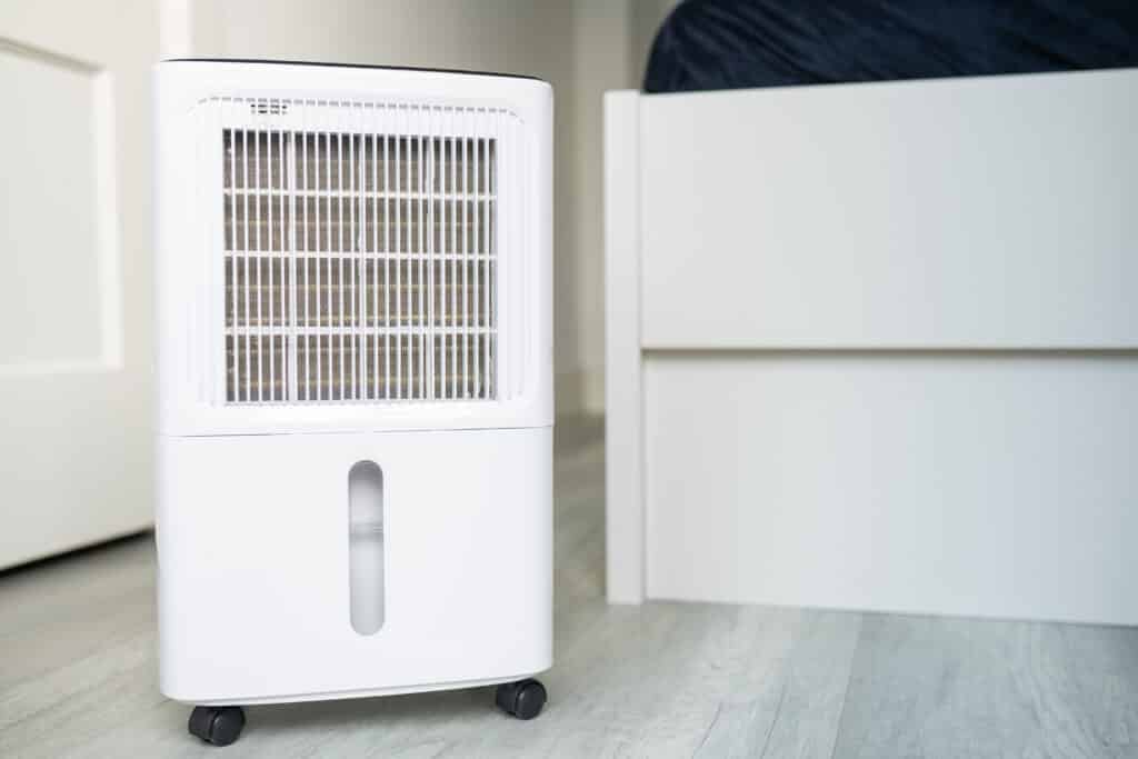 Cinque posti della tua casa dove non dovresti mai collegare un deumidificatore