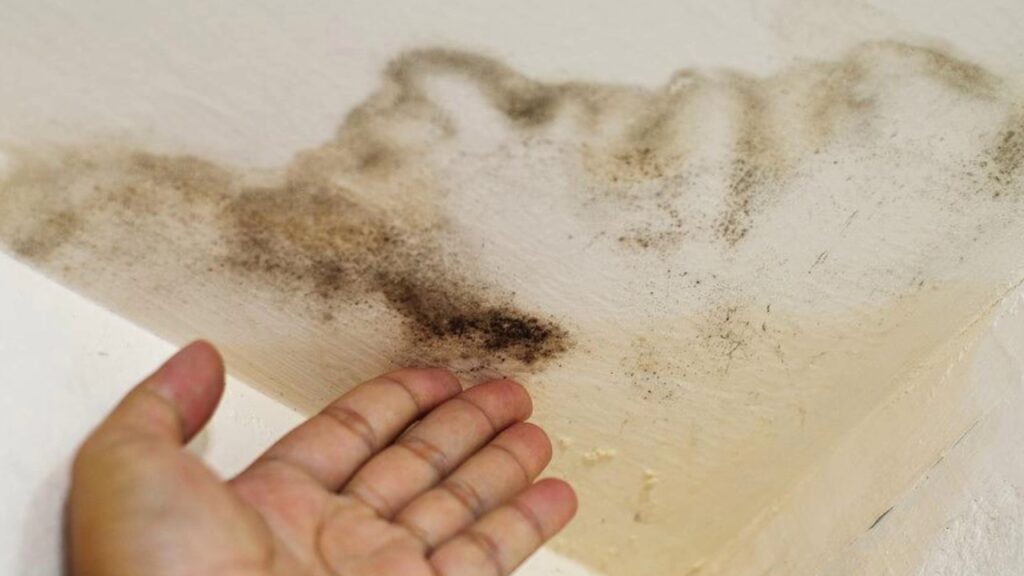 Come pulire le macchie sul muro con il sughero: perché usarlo?